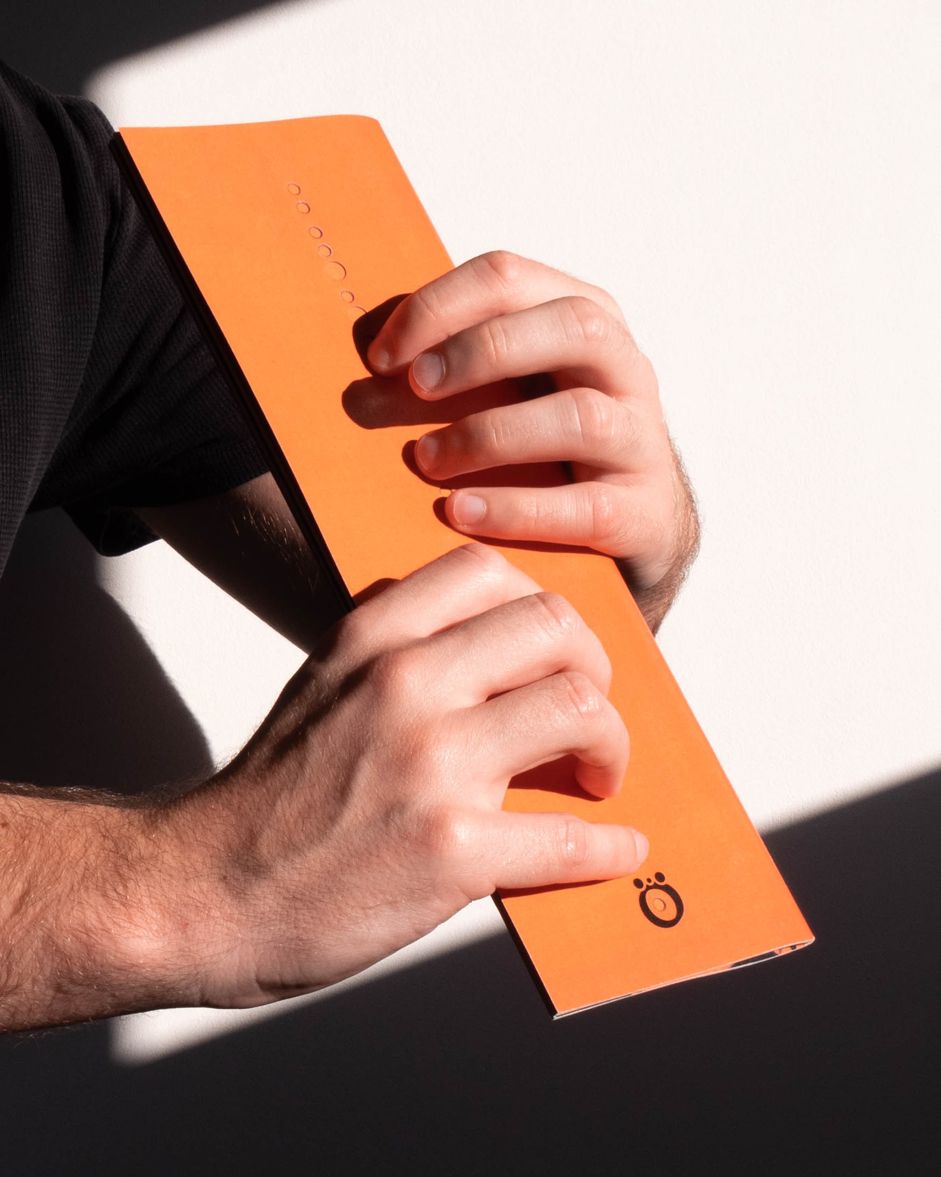 Le Concert Impromptu : branding and print © Pierre d'Alteroche